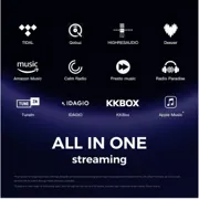 EVERSOLO DMP-A6 Music Streamers — additional view 1
